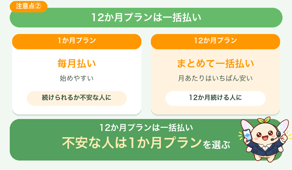 12か月プランは一括払い